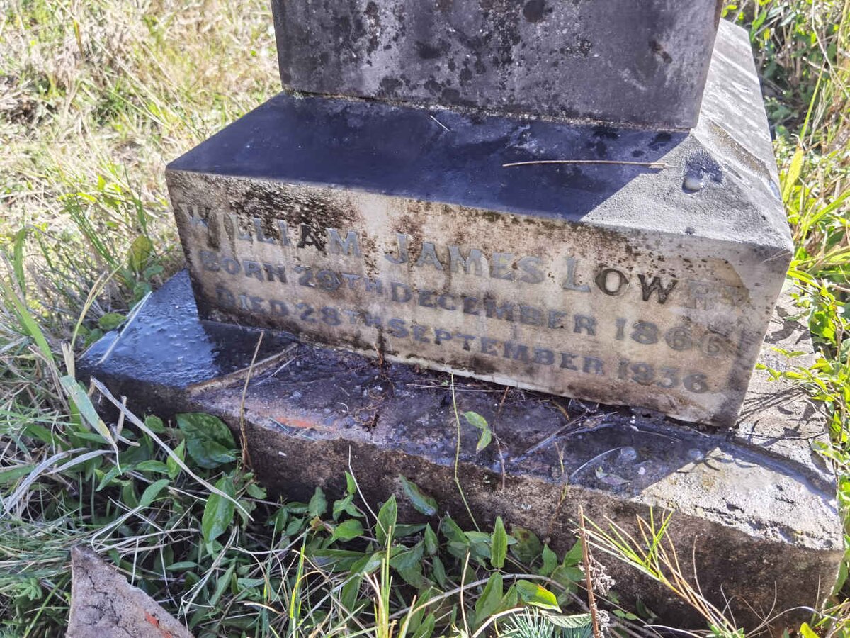 LOWRY William James 1866-1936