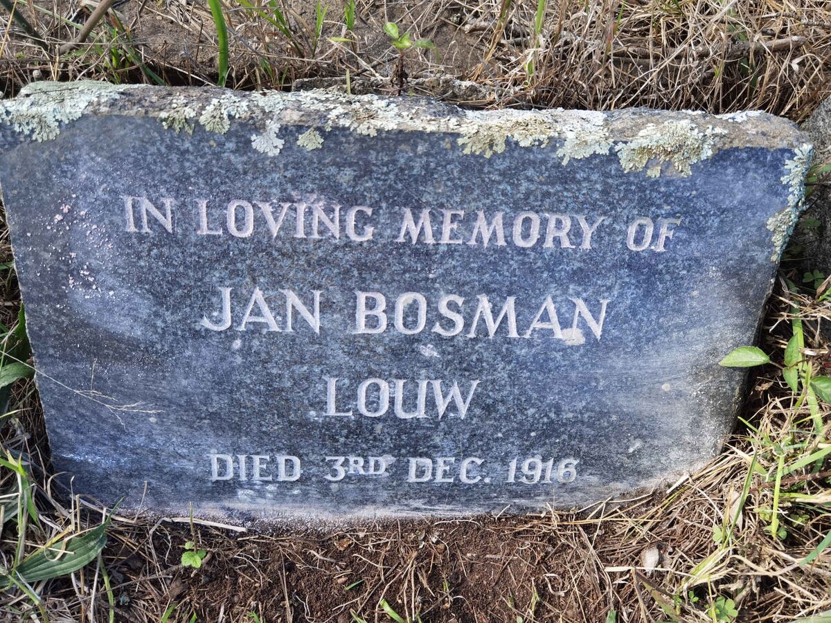 LOUW Jan Bosman -1916