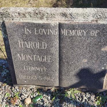 MONTAGUE Harold -1962