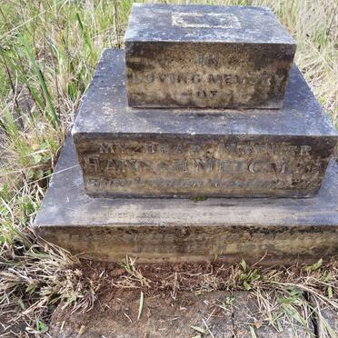 METCALFE Hannah -1918