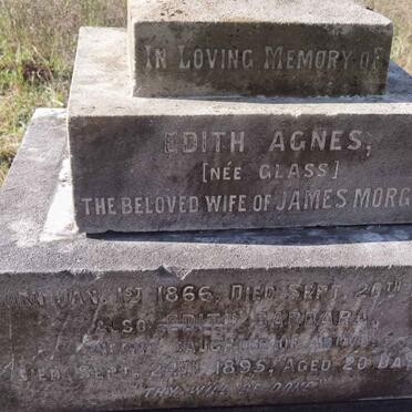 MORGAN Edith Agnes nee GLASS 1866-1895 :: MORGAN Edith Barbara -1895