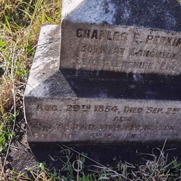 PERKINS Charles E. 1854-1893 :: PERKINS Alfred William 1892-1893