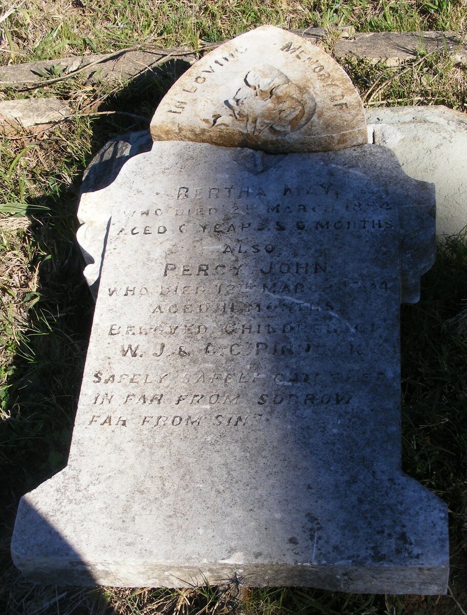 PINNOCK Bertha May -1894 :: PINNOCK Percy John -1894