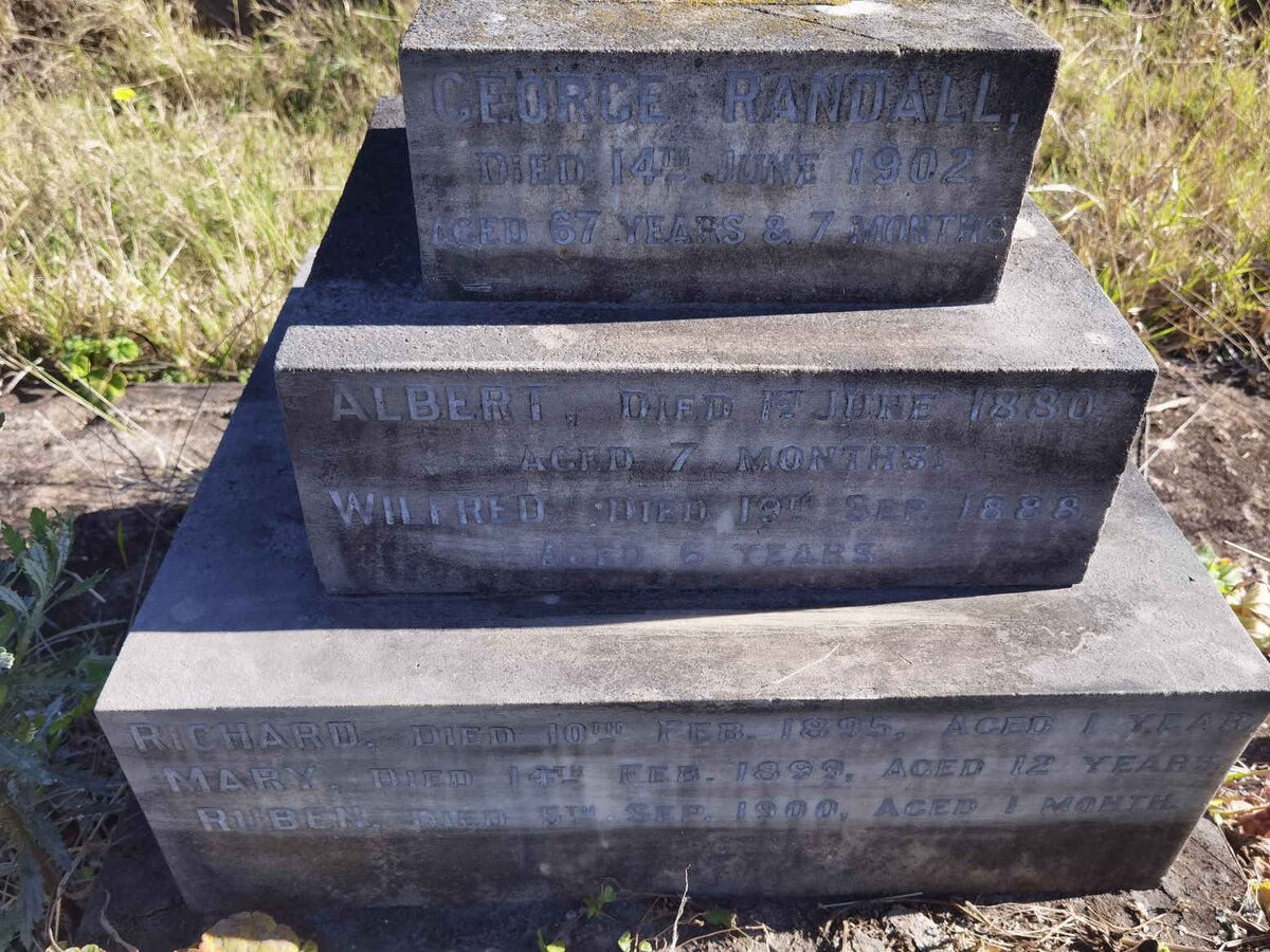 RANDALL George -1902 :: RANDALL Albert -1880 :: RANDALL Wilfred -1888 :: RANDALL Richard -1895 :: RANDALL Mary -1899 :: RANDALL Ruben -1900