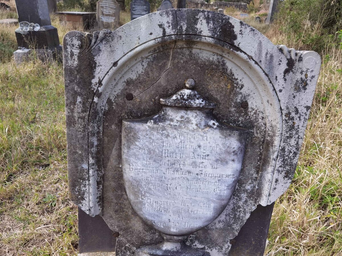 SHEPPERSON Mary Ann nee GODLONTON -1856