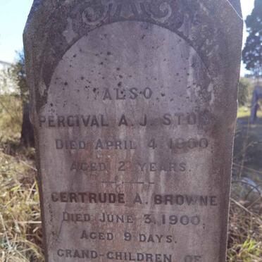 STONE Percival A.J. -1900 :: BROWNE Gertrude A. -1900