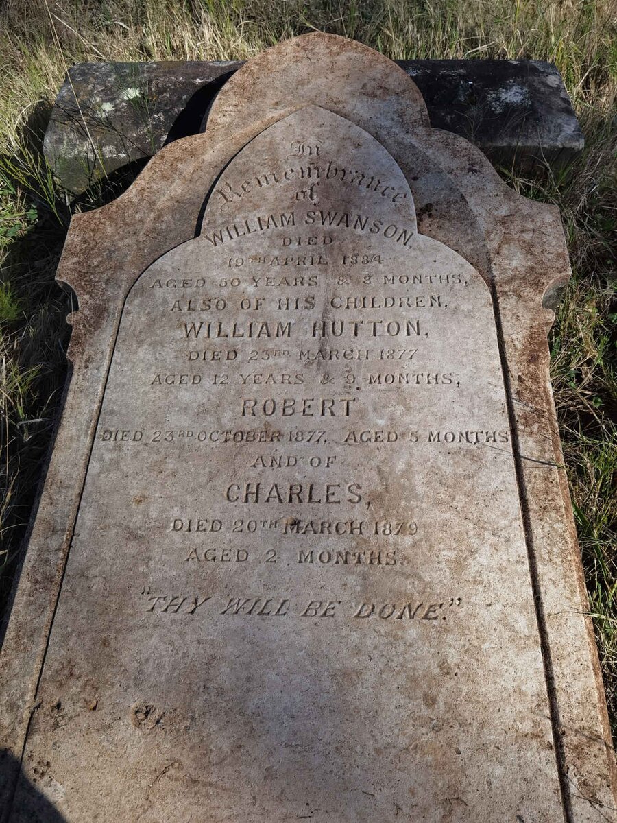 SWANSON William -1884 :: SWANSON William Hutton -1877 :: SWANSON Robert -1877 :: SWANSON Charles -1879