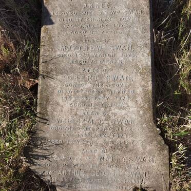 SWAN Annie -1873 :: SWAN Matthew -1873 :: SWAN Robert -1874 :: SWAN William C. -1878 :: SWAN Elizabeth -1881 :: SWAN Arthur George -1890