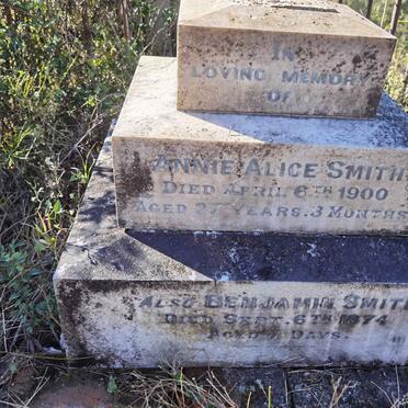 SMITH Benjamin -1874 :: SMITH Annie Alice -1900