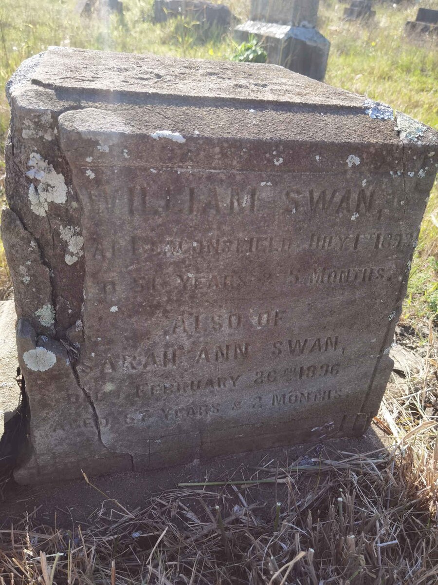 SWAN William -1893 :: SWAN Sarah Ann -1896