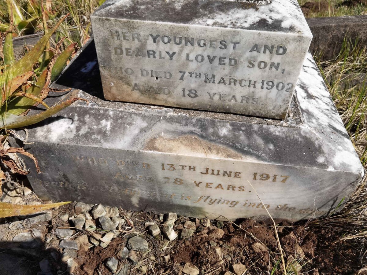 SHAW Mary Anne -1917 :: SHAW D'Urban -1902