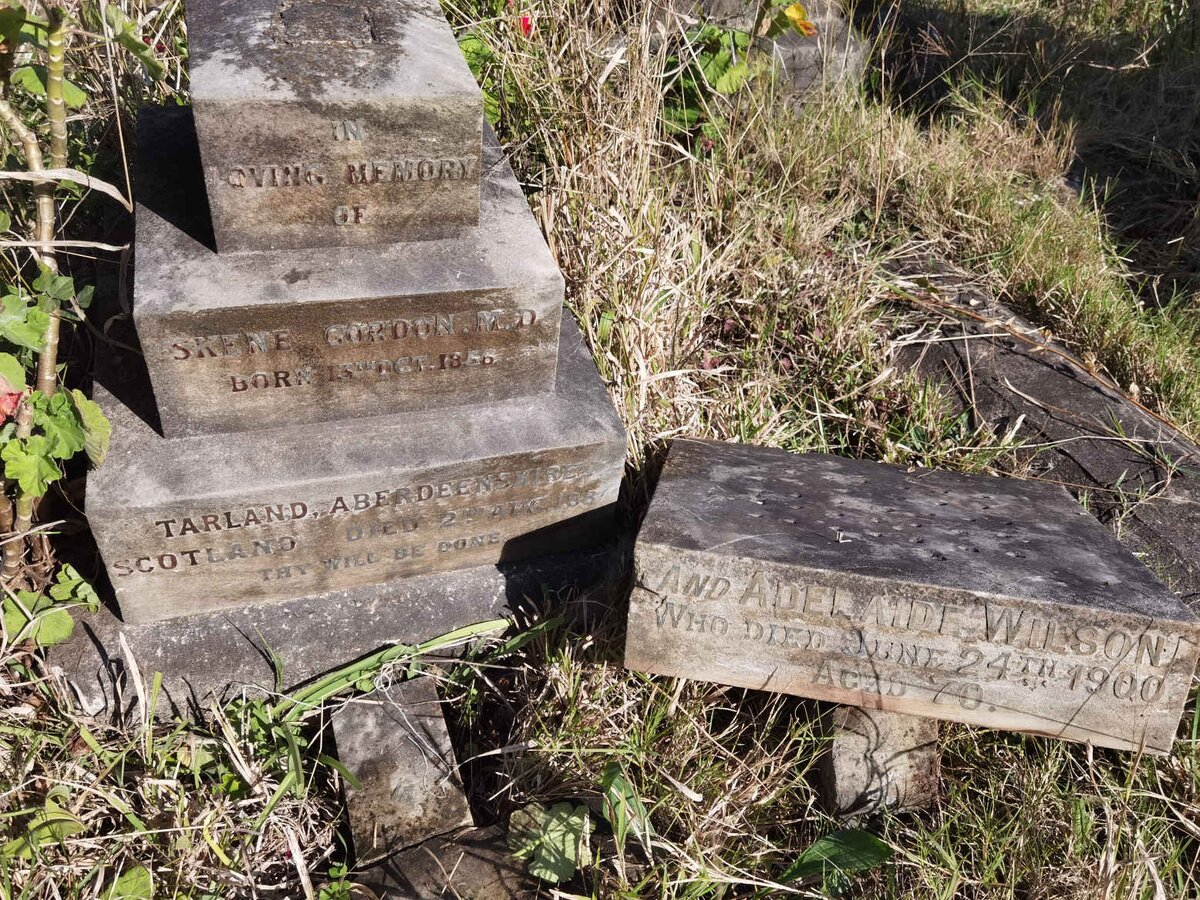 SKENE Gordon 1856-1884 :: WILSON Adelaide -1900