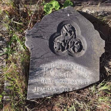 TOPPER Jemima Cole -1915 _1