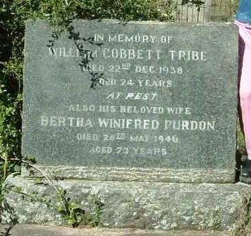 TRIBE William Cobbett -1938  &amp; Bertha Winifred PURDON -1946
