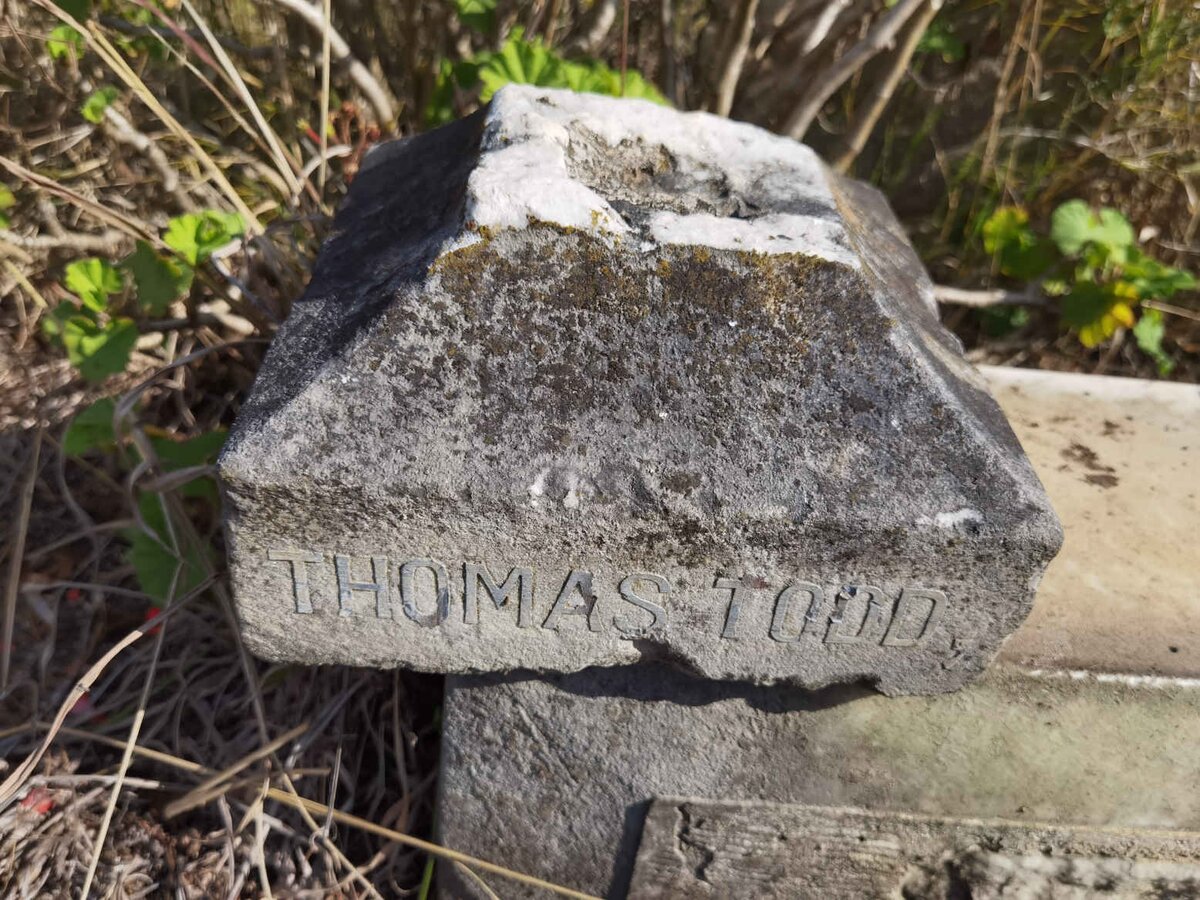 TODD Thomas -1891 _2