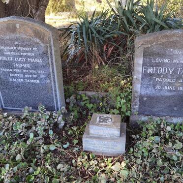 TASMER Freddy -1960 :: TASMER Violet Lucy Maria -1956 :: TASMER Hilda Phyllis -1926