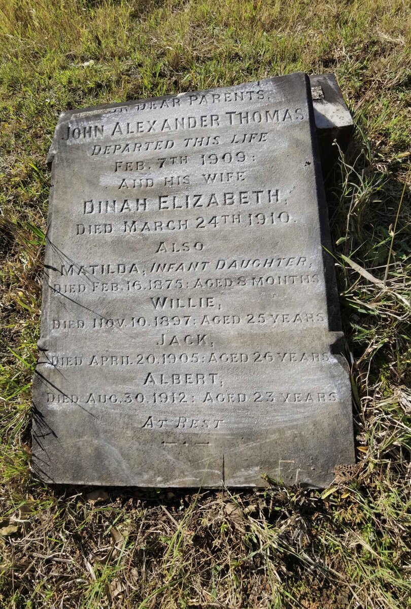 THOMAS John Alexander -1909 &amp; Dinah Elizabeth -1910 :: THOMAS Matilda -1875 :: THOMAS Willie -1897 :: THOMAS Jack -1905 :: THOMAS Albert -1912