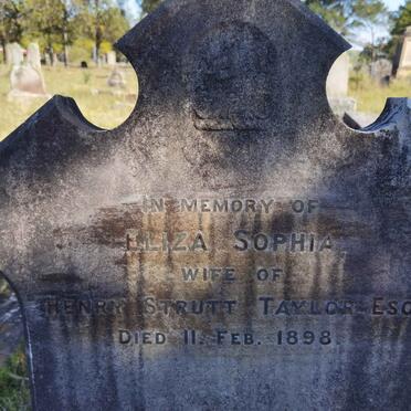 TAYLOR Eliza Sophia -1898