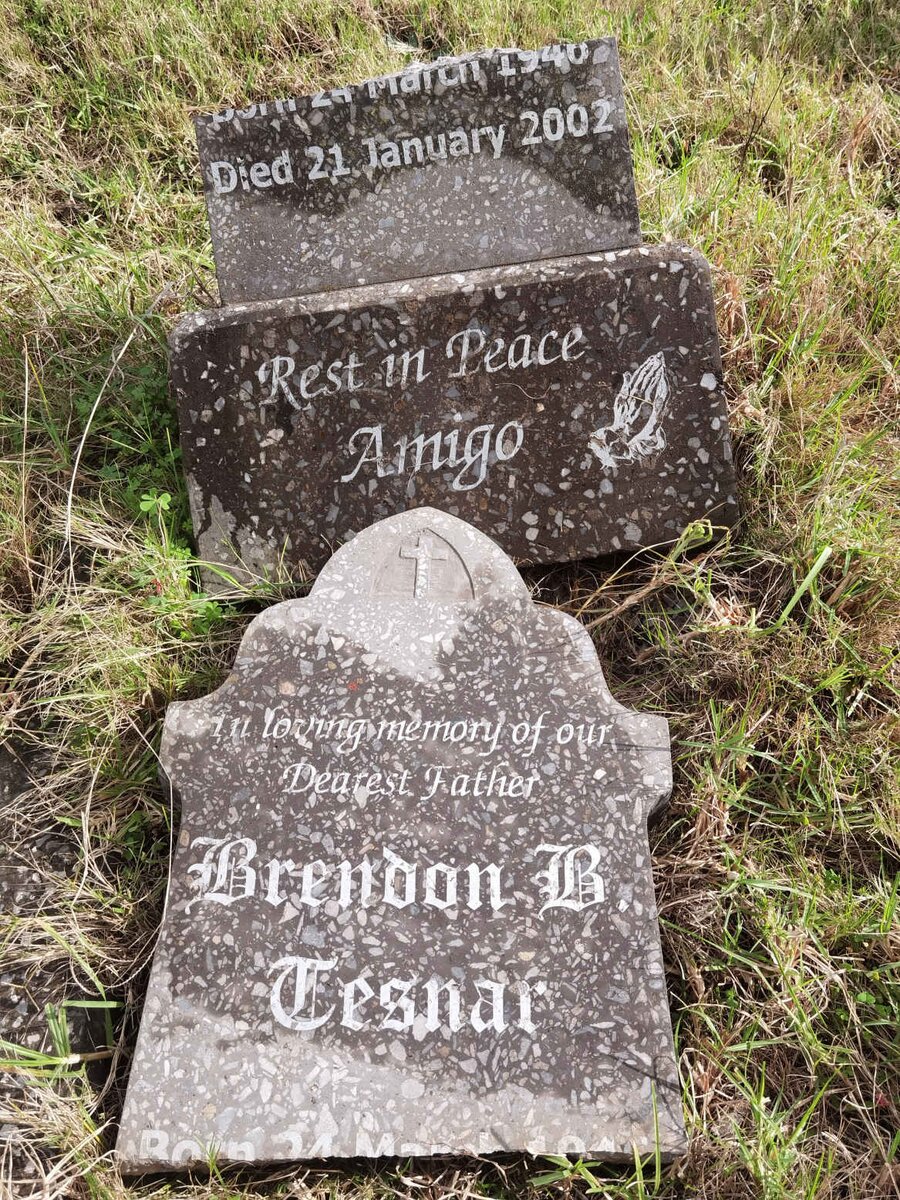 TESNAR Brendon B. 194?-2002