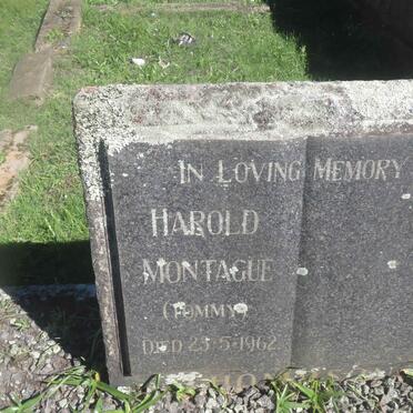 THOMPSON Harold Montague -1962