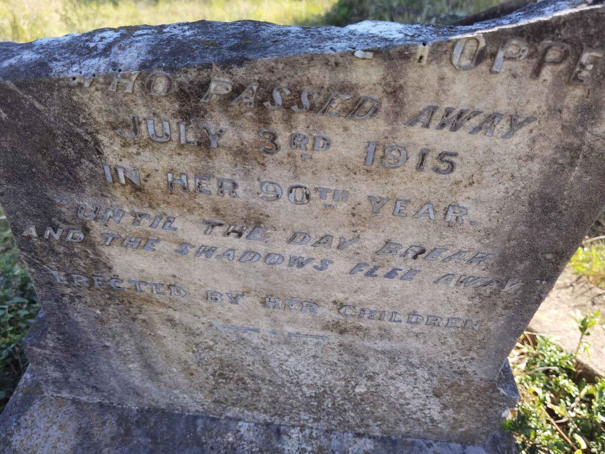 TOPPER Jemima Cole -1915 _2