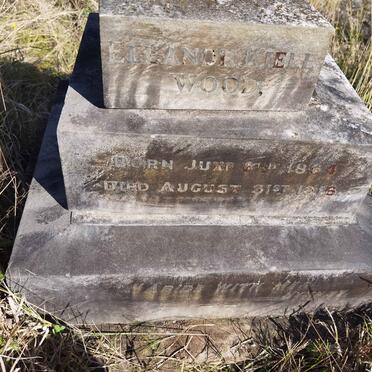 WOOD Eleanor Kiell 1864-1916