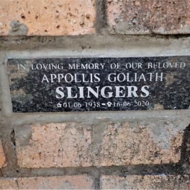 SLINGERS Appollis Goliath 1938-2020