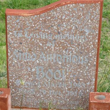 BOOI Simo Antonious 1983-2010