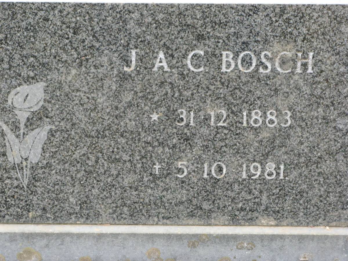 BOSCH J.A.C. 1883-1981