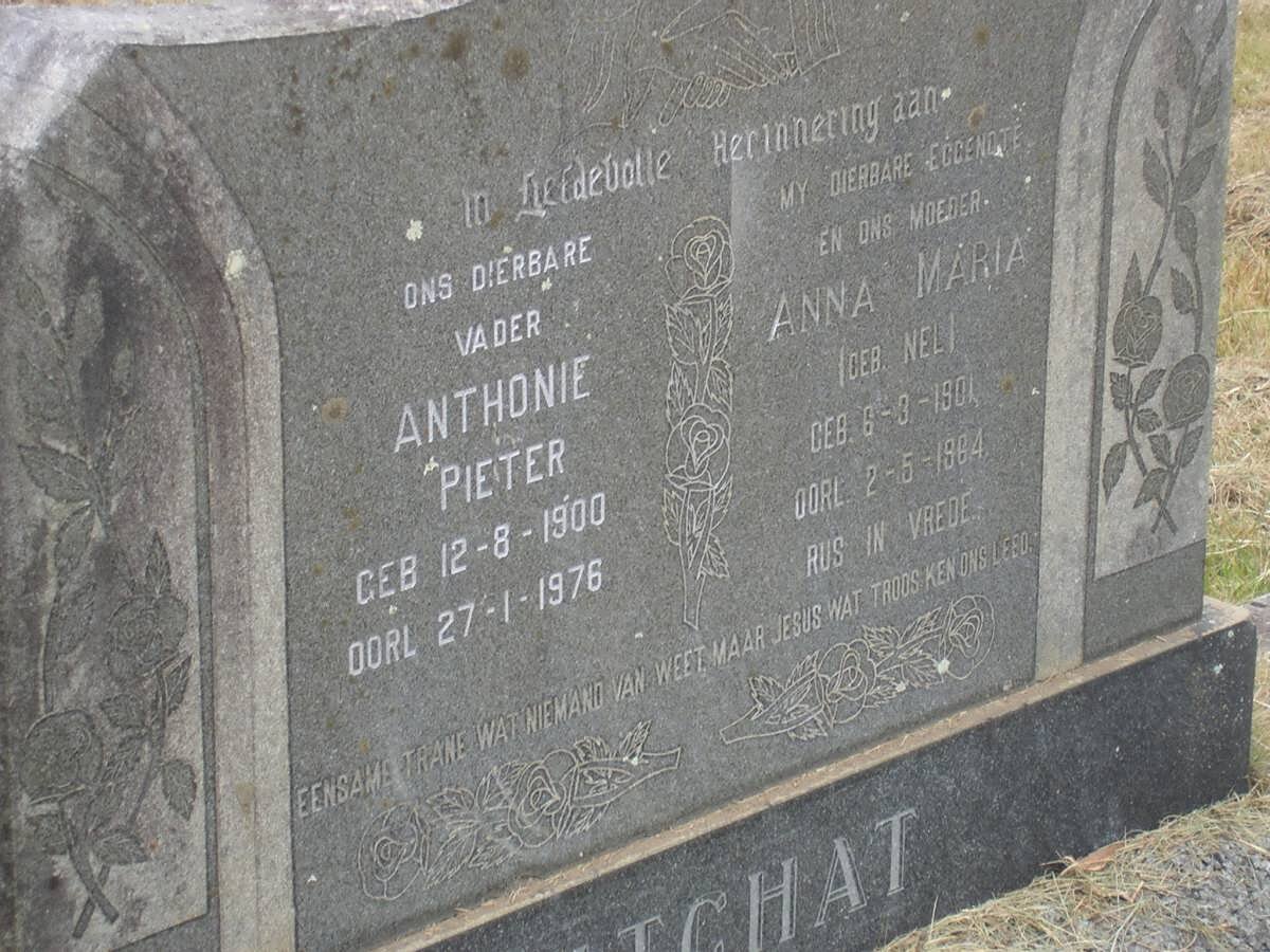 FITCHAT Anthonie Pieter 1900-1976 &amp; Anna Maria NEL 1901-1964