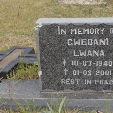 Lw - Surnames starting with the letters Lw