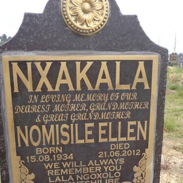 Nx - Surnames starting with the letters Nx