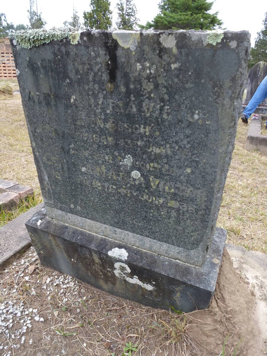 VICTOR  Aletta Maria nee BOSCH 1844-1927 :: VICTOR ? Maria 1876-193?