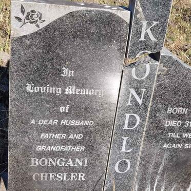 KONDLO Bongani Chesler 1958-2006