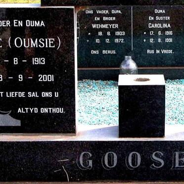 G - Surnames :: Vanne - G