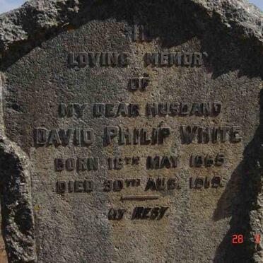 WHITE David Philip 1865-1919