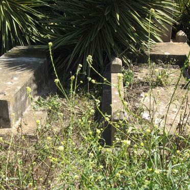 ALLERS G.C. 1920- :: ?