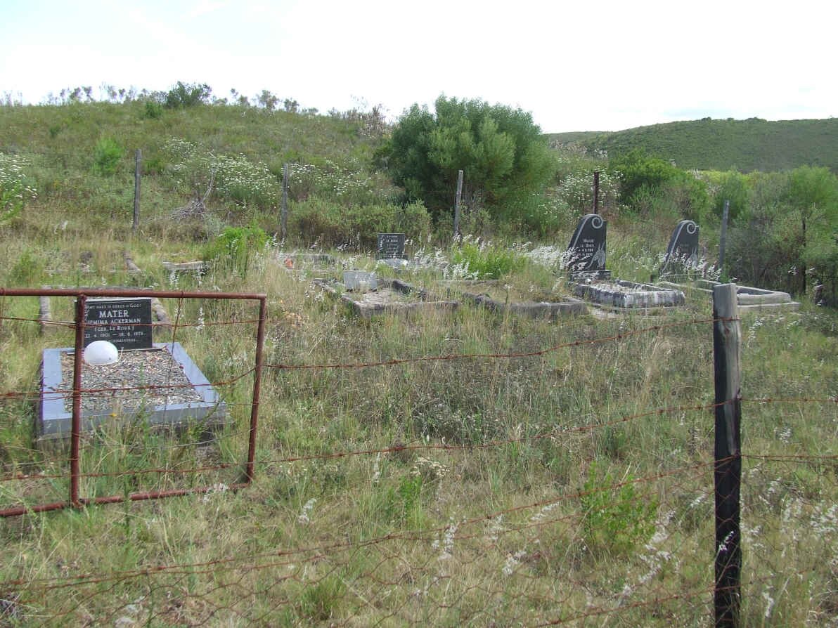 1. Overview on cemetery