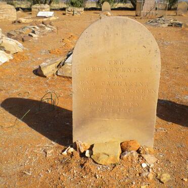 COETZEE Eva Catharina 1916-1916