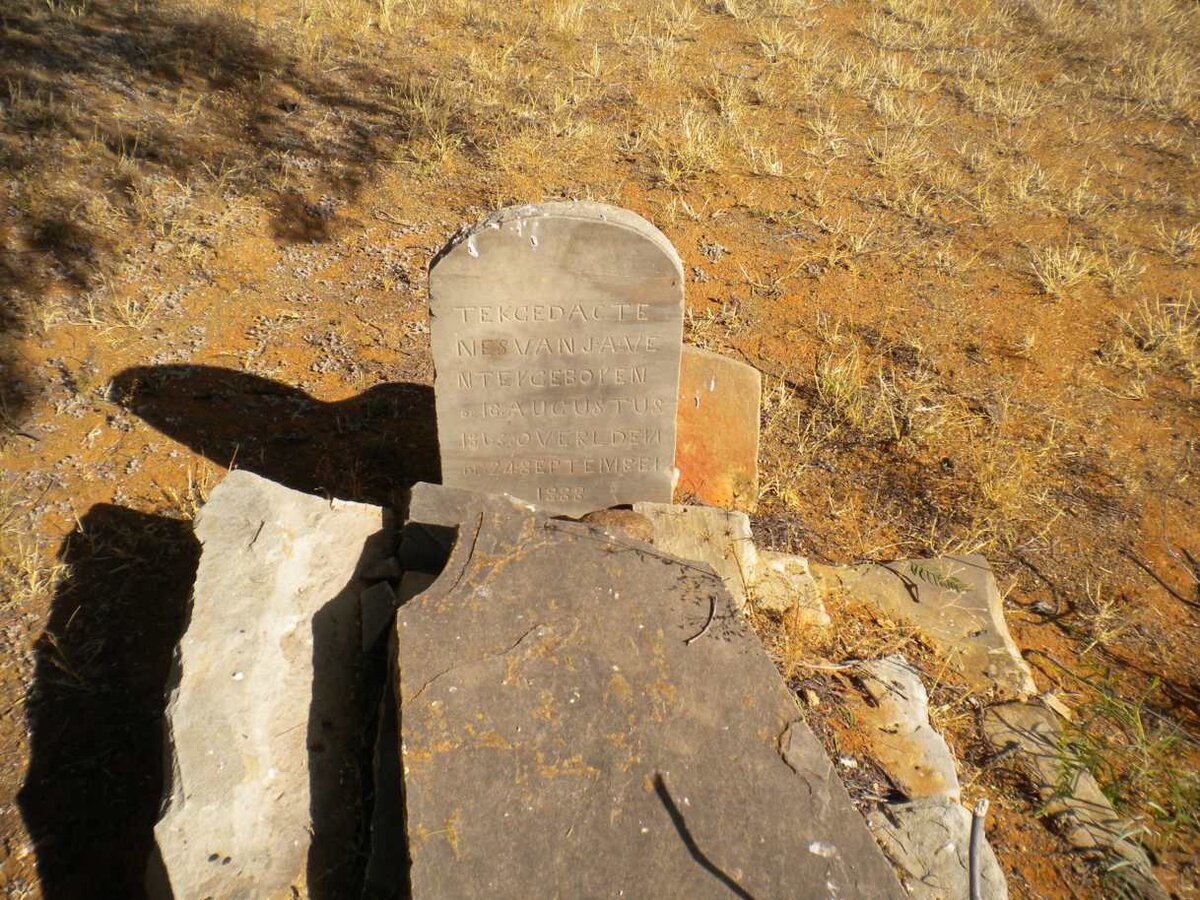 VENTER J.A. 18??-1888