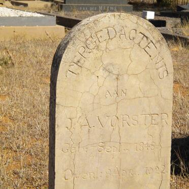 VORSTER J.A. 1848-1922