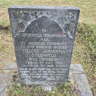 STEENVELD Helene Johanna nee DIETRICH 1901-1959