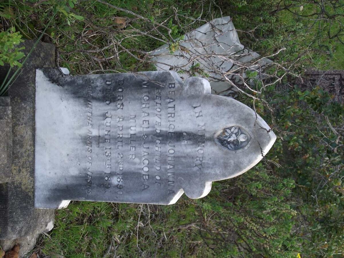 MULLER Beatrice Johanna 1890-1891