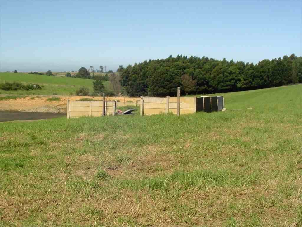 2. Overview of cemetery