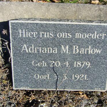 BARLOW Adriana M. 1879-1921