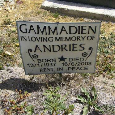GAMMANDIEN Andries 1937-2003