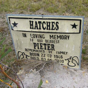 HATCHES Pieter 1946-2000