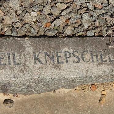 KNEPSCHELD Neil