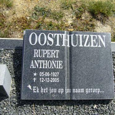 O - Surnames :: Vanne - O