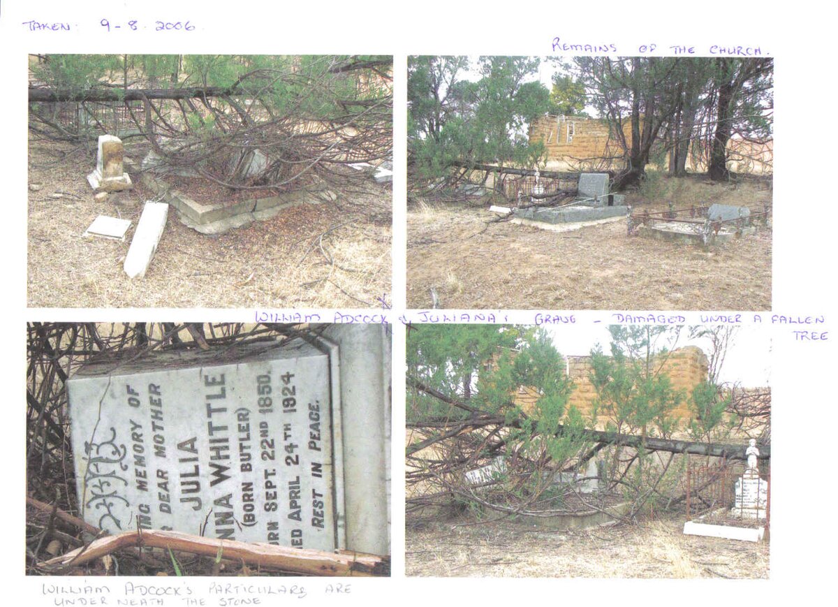 WHITTLE Julia Anna nee BUTLER 1850-1924